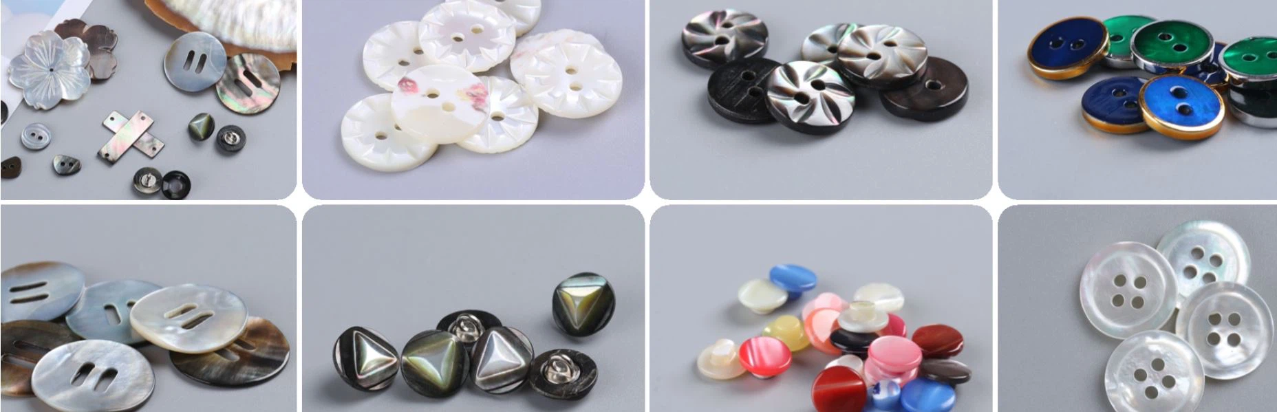 Natural shell buttons